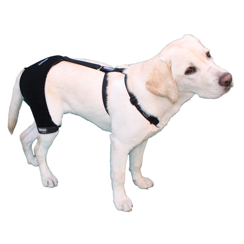 ¿Sabes cómo funcionan los implantes de oro? Los implantes de oro